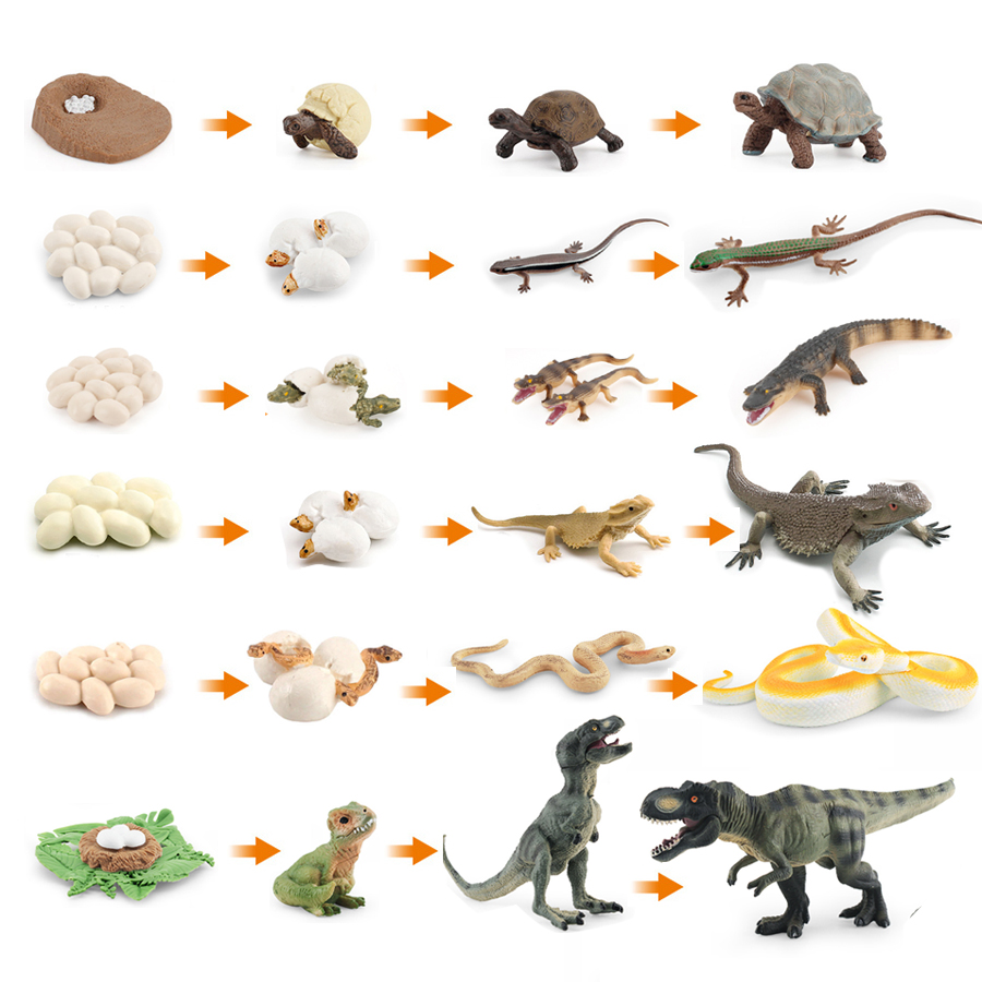 Simulazione Dinosauro Lucertol - Model Kit Lizard recensione e prezzo