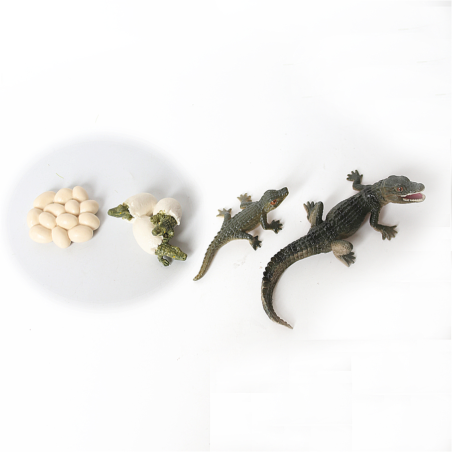 Simulazione Dinosauro Lucertol - Model Kit Lizard recensione e prezzo